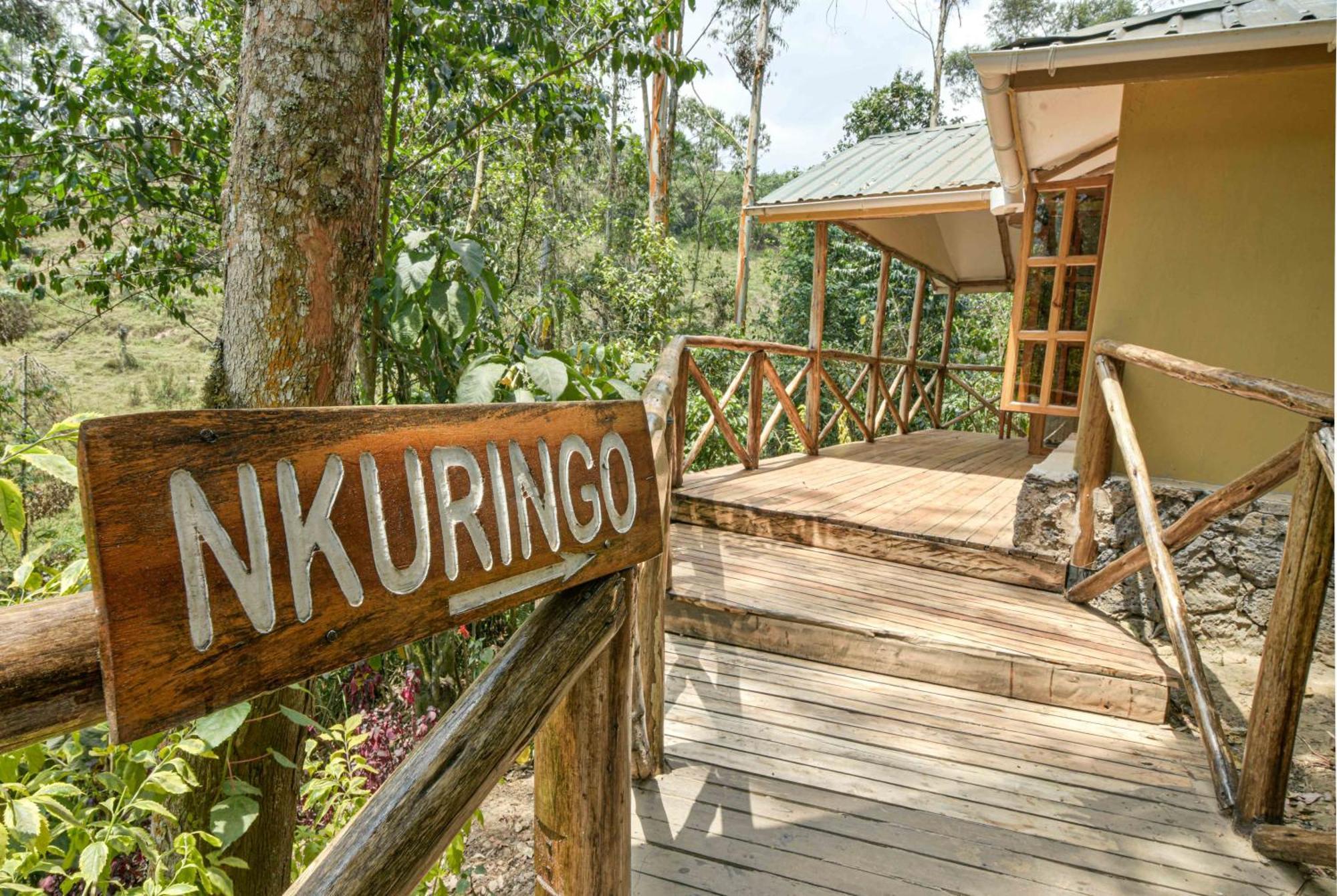 Gorilla Safari Lodge Rubuguli Exterior photo