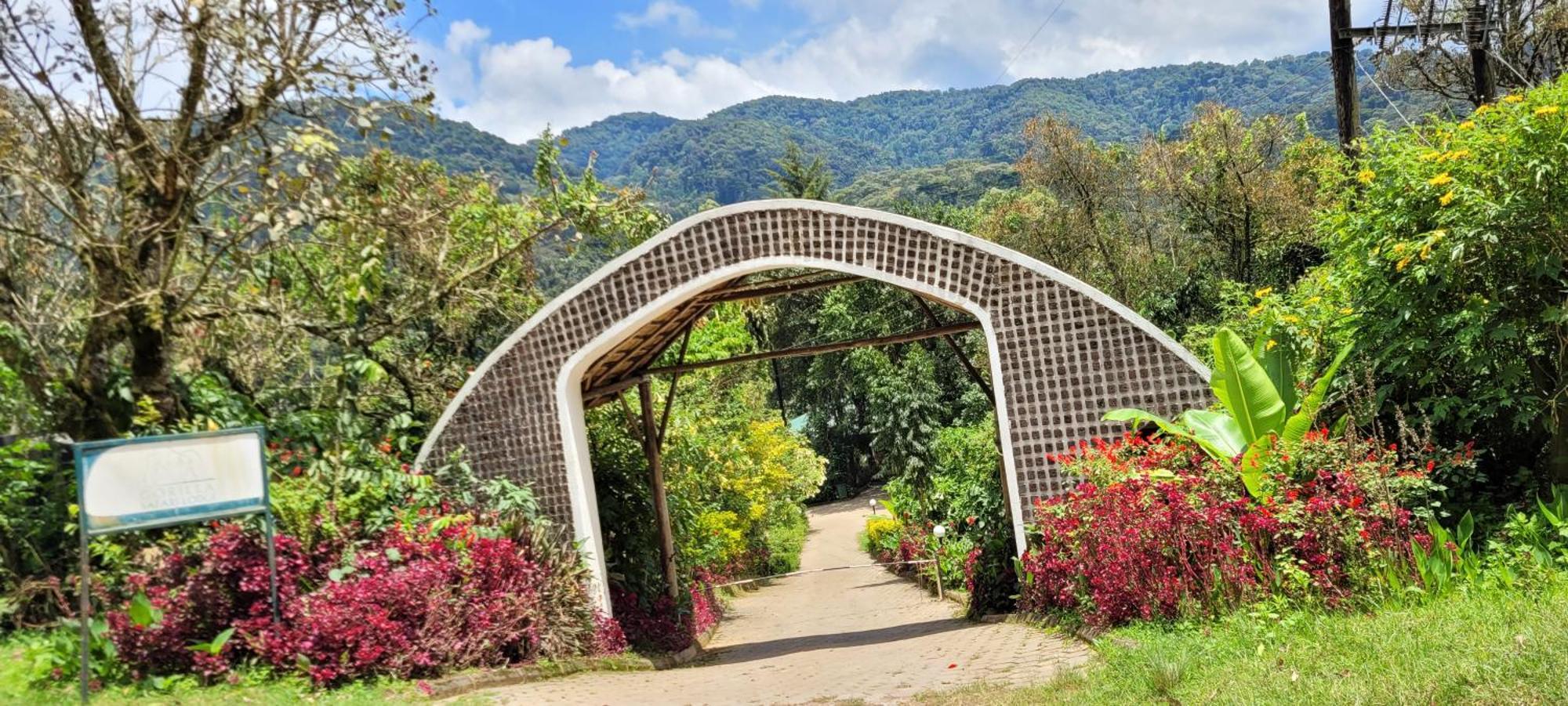 Gorilla Safari Lodge Rubuguli Exterior photo