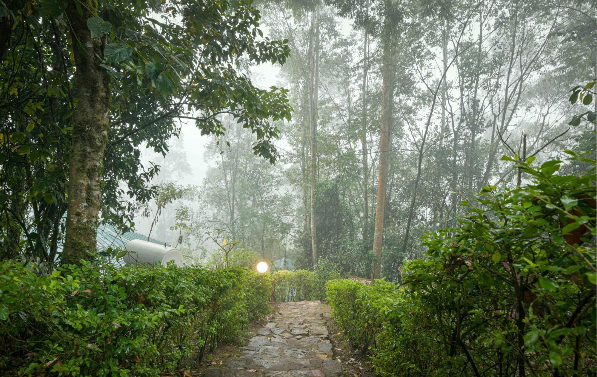 Gorilla Safari Lodge Rubuguli Exterior photo